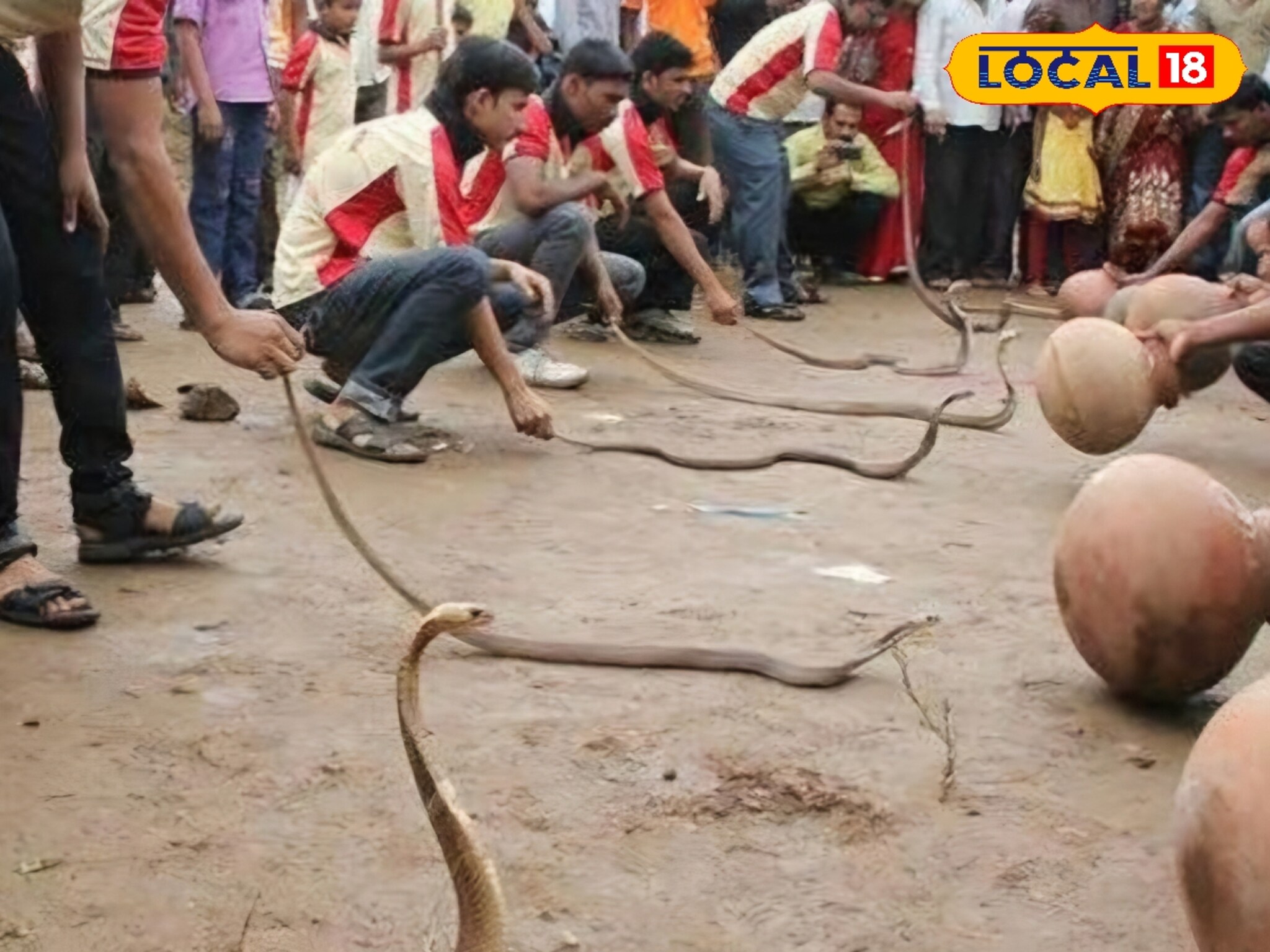 Nag Panchami: 32 शिराळ्यात पुन्हा सुरू होणार जिवंत नागाची पूजा? काय आहेत शिराळकरांच्या भावना? Video