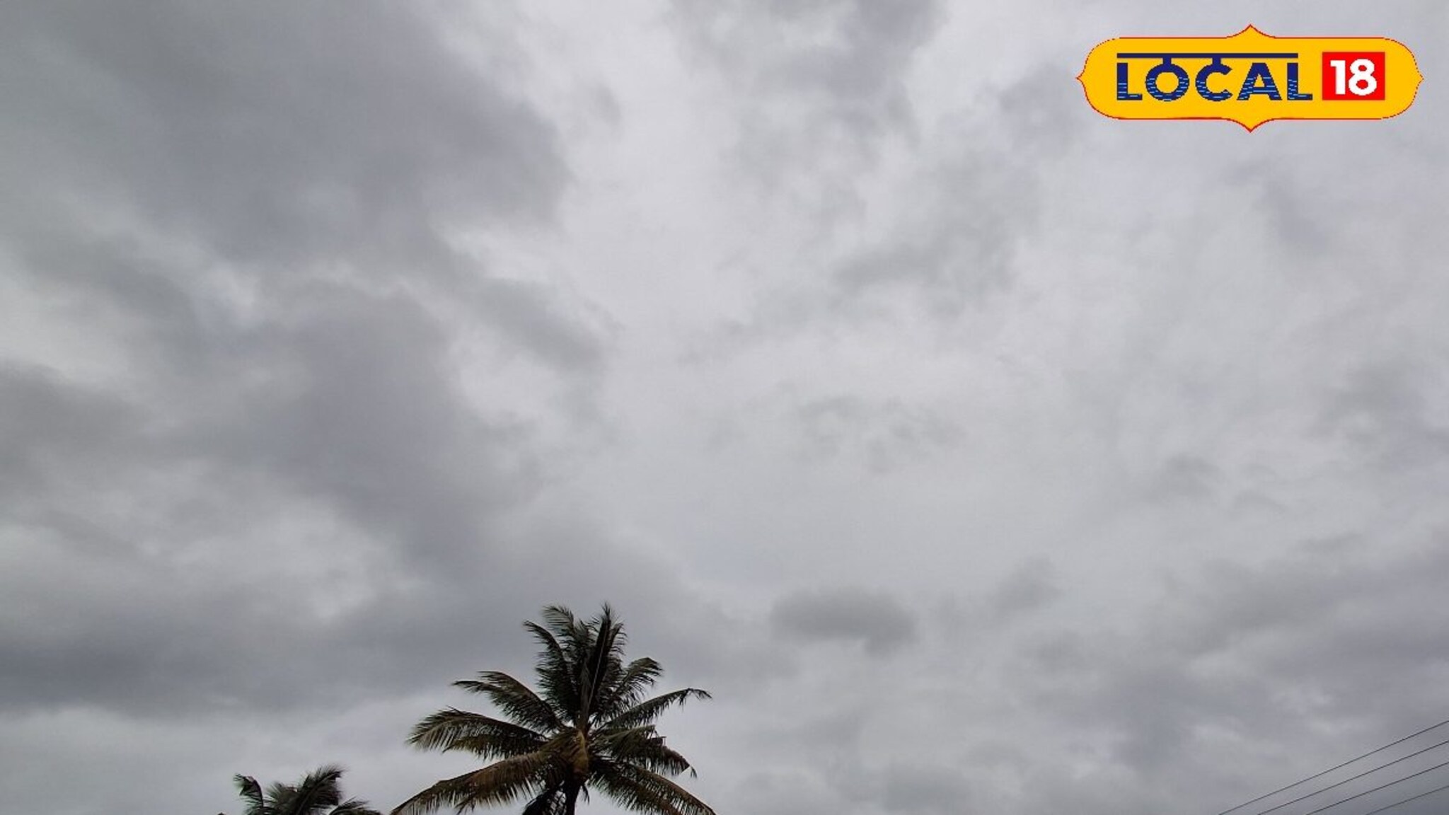 धरणक्षेत्रात धो धो सुरूच, पुणे ते कोल्हापूर पुन्हा अलर्ट, आजचा हवामान अंदाज