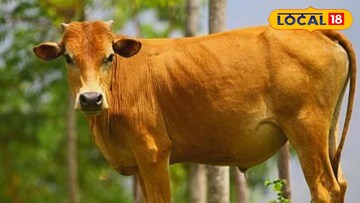 शेतकऱ्यांनो