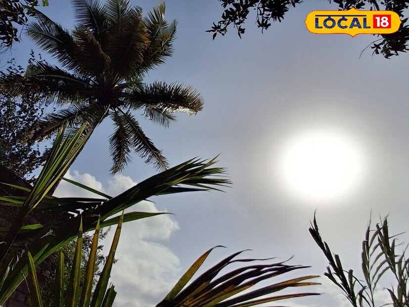 राज्यातील पावसाचा जोर ओसरला असला तरी, काही ठिकाणी ऊन सावल्यांच्या खेळात श्रावण सरी कोसळत आहेत. आज 31 जुलै रोजी मराठवाड्यातील काही भागात हलक्या सरींची शक्यता आहे. पुढील 24 तासांचा हवामान अंदाज जाणून घेऊ. 