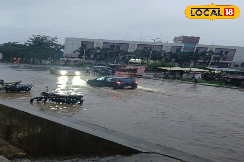 राज्यात गेल्या 48 तासांपूर्वी मुसळधार पाऊस झाला. तसेच मराठवाड्यात देखील जोरदार पावसाने हजेरी लावली. काही जिल्ह्यांमध्ये अक्षरशः नद्या नाल्यांना पूर आला. गेली 2 ते 3 दिवस संततधार पावसाने शेतातील कोमजलेल्या पिकांना जीवनदान दिले.  राज्यात गेल्या 48 तासांपूर्वी मुसळधार पाऊस झाला. तसेच मराठवाड्यात देखील जोरदार पावसाने हजेरी लावली. काही जिल्ह्यांमध्ये अक्षरशः नद्या नाल्यांना पूर आला. गेली 2 ते 3 दिवस संततधार पावसाने शेतातील कोमजलेल्या पिकांना जीवनदान दिले.