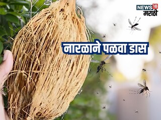 News18 News18