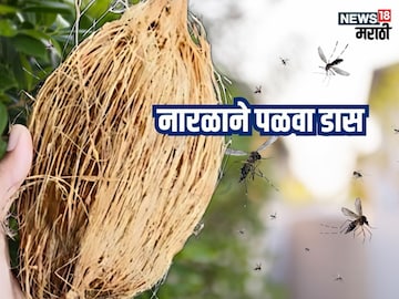 News18 News18