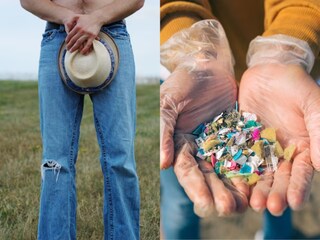 microplastics in human fluids microplastics in human fluids