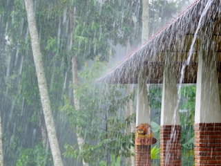 Artificial Rain Artificial Rain