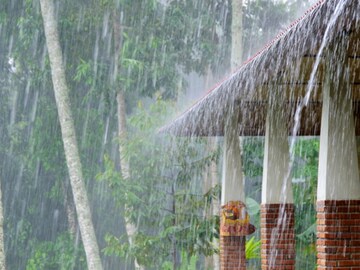 Artificial Rain Artificial Rain