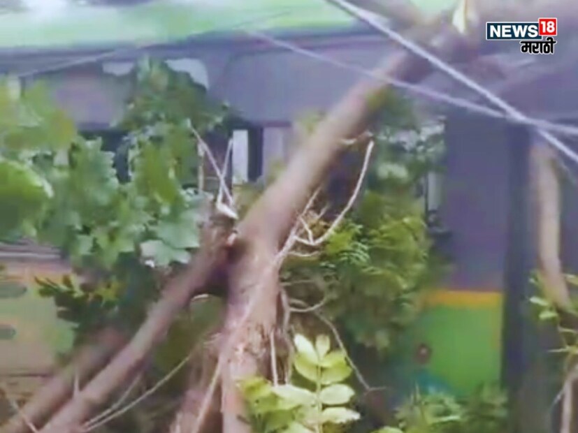 बसवर अचानक झाड पडल्यानं घटनेमुळे काही काळ रस्त्यावर वाहतूक कोंडी झाली होती, ज्यामुळे वाहनचालकांना अडथळ्यांचा सामना करावा लागला. अग्निशमन दलाच्या जवानांनी काही वेळातच वाहतूक पुन्हा सुरळीत केली. 