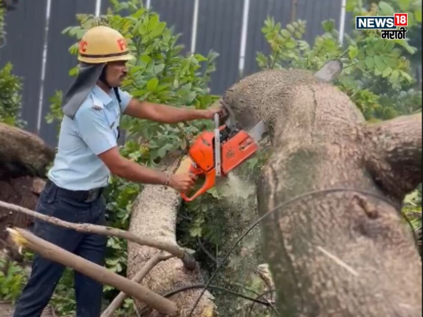 याच कारणामुळे, रस्त्यावर भरधाव वेगाने धावत असलेल्या पीएमपीएल बसवर ते झाड अचानक कोसळले. झाड कोसळल्याने बसचे काही प्रमाणात नुकसान झाले.