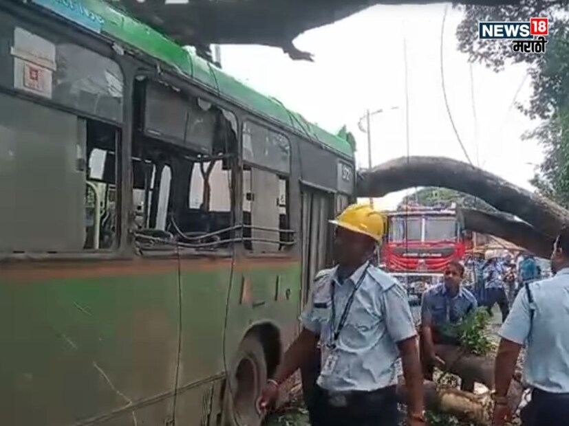 सकाळी 10 वाजण्याच्या सुमारास पिंपरी-चिंचवडमध्ये एक धक्कादायक घटना घडली, जिथे निगडीच्या दिशेने निघालेल्या पीएमपीएल बसवर अचानक एक भलेमोठे झाड कोसळले. सकाळी 10 वाजण्याच्या सुमारास पिंपरी-चिंचवडमध्ये एक धक्कादायक घटना घडली, जिथे निगडीच्या दिशेने निघालेल्या पीएमपीएल बसवर अचानक एक भलेमोठे झाड कोसळले.