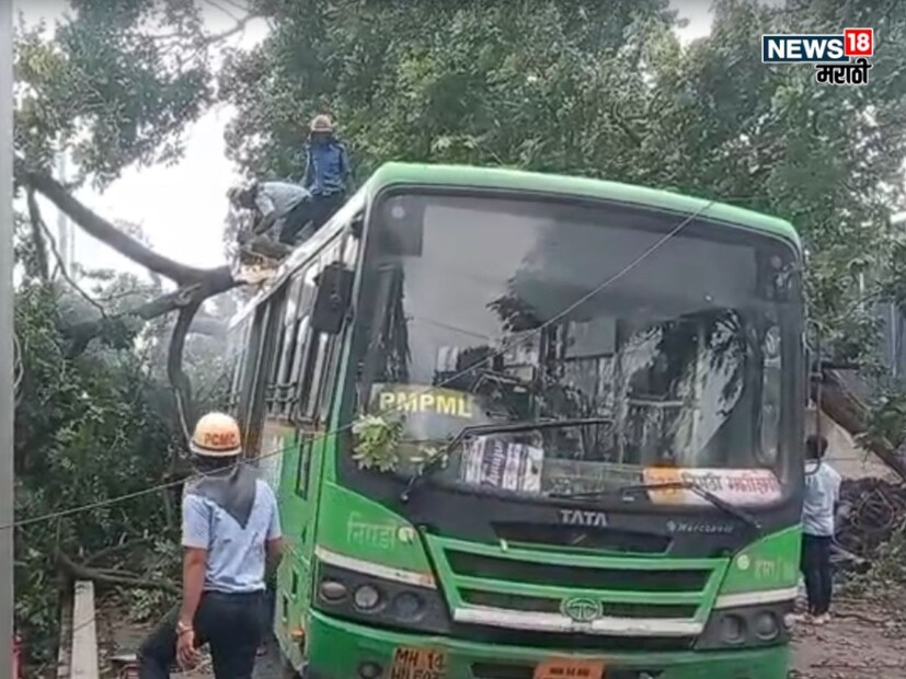 मिळालेल्या माहितीनुसार, रस्त्याच्या शेजारी केबल टाकण्याचे काम सुरू होते. या कामासाठी झाडाच्या भोवती खोदकाम करण्यात आले होते, ज्यामुळे झाडाच्या मुळ्या सैल झाल्या होत्या. 