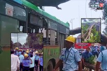 Pune News : पुण्यात 40 पीएमपीएमल प्रवाशांचा जीव वाचला, भलं मोठं झाड कोसळलं