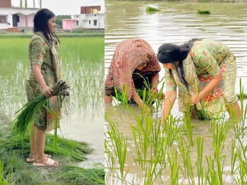 प्रिया सरोजचा या फोटोआधी भात लावणी करतानाचा फोटो समोर आला होता.या फोटोची सोशल मीडियावर चर्चा होती. 