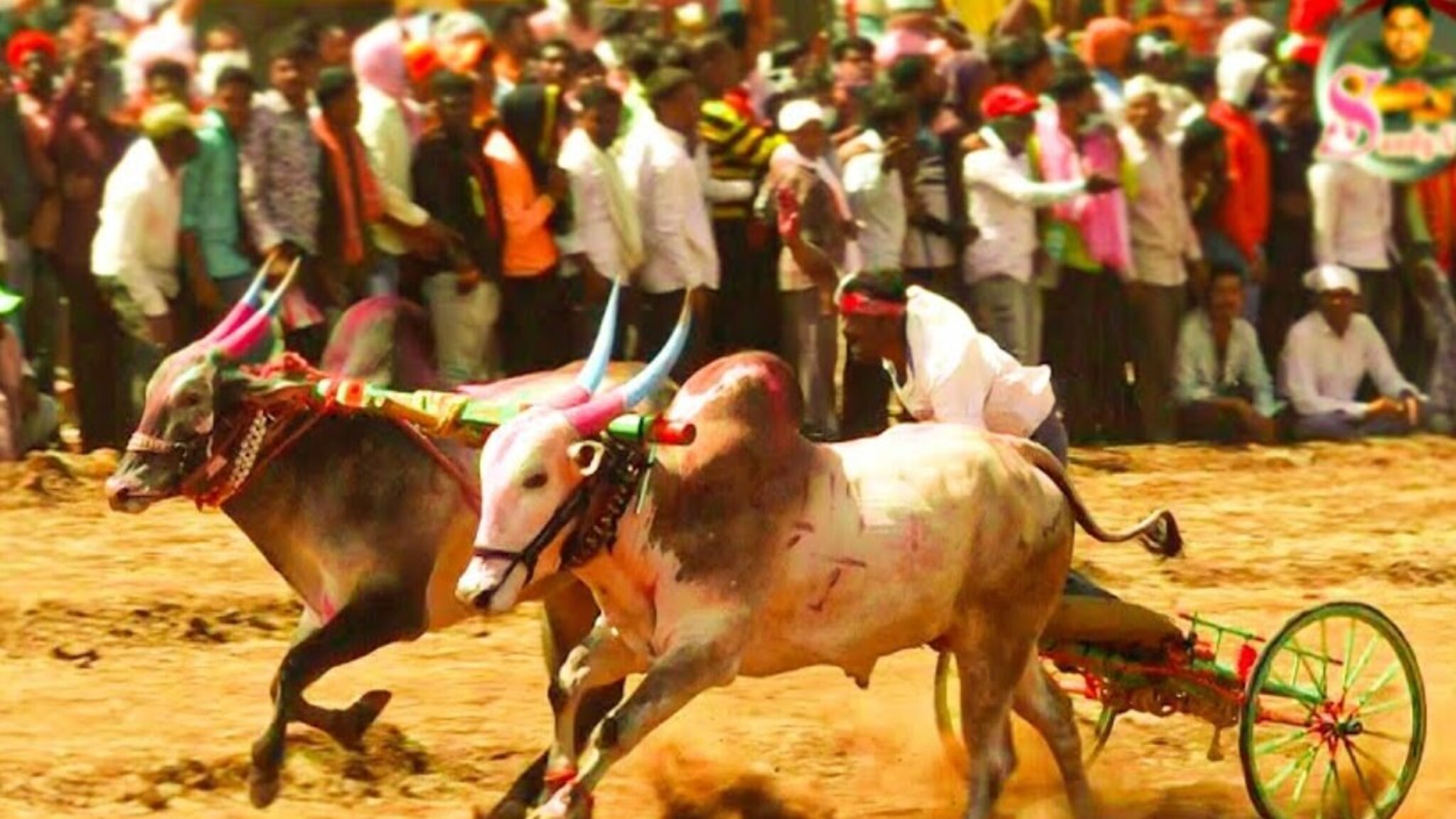 Satara Crime : पोराला बैलगाडा शर्यतीचा नाद! शुल्लक कारण अन् बापावर तलवारीने वार, साताऱ्यात खळबळ