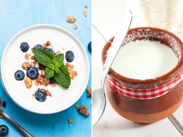 ग्रीक योगर्ट आणि दह्यामध्ये फरक काय? आरोग्यासाठी काय जास्त फायदेशीर?