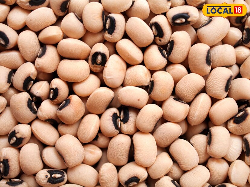 आयुष वैद्यकशास्त्रात 25 वर्षांचा अनुभव असलेल्या, रायबरेली जिल्ह्यातील शिवगढ येथील सामुदायिक आरोग्य केंद्रातील आयुष चिकित्सक डॉ. आकांक्षा दीक्षित (एमडी आयुर्वेद, नॅशनल इन्स्टिट्यूट ऑफ आयुर्वेद जयपूर, राजस्थान) यांनी 'लोकल18' ला याबद्दल सविस्तर माहिती दिली आहे. 