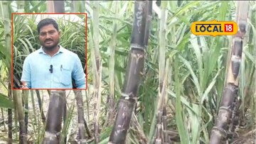 सोलापूरच्या