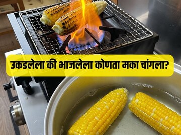 Corn : भाजलेला की उकडलेला, आरोग्यासाठी कोणता मका चांगला?