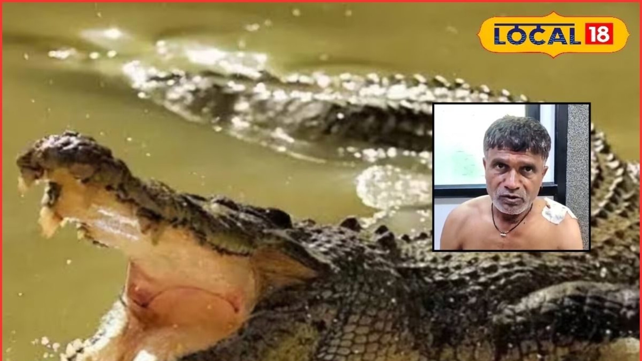 Sangli: काळ आला होता, पण..., कृष्णा नदीत मगरीचा हल्ला, डोकंच पकडलं, सुटकेचा थरार