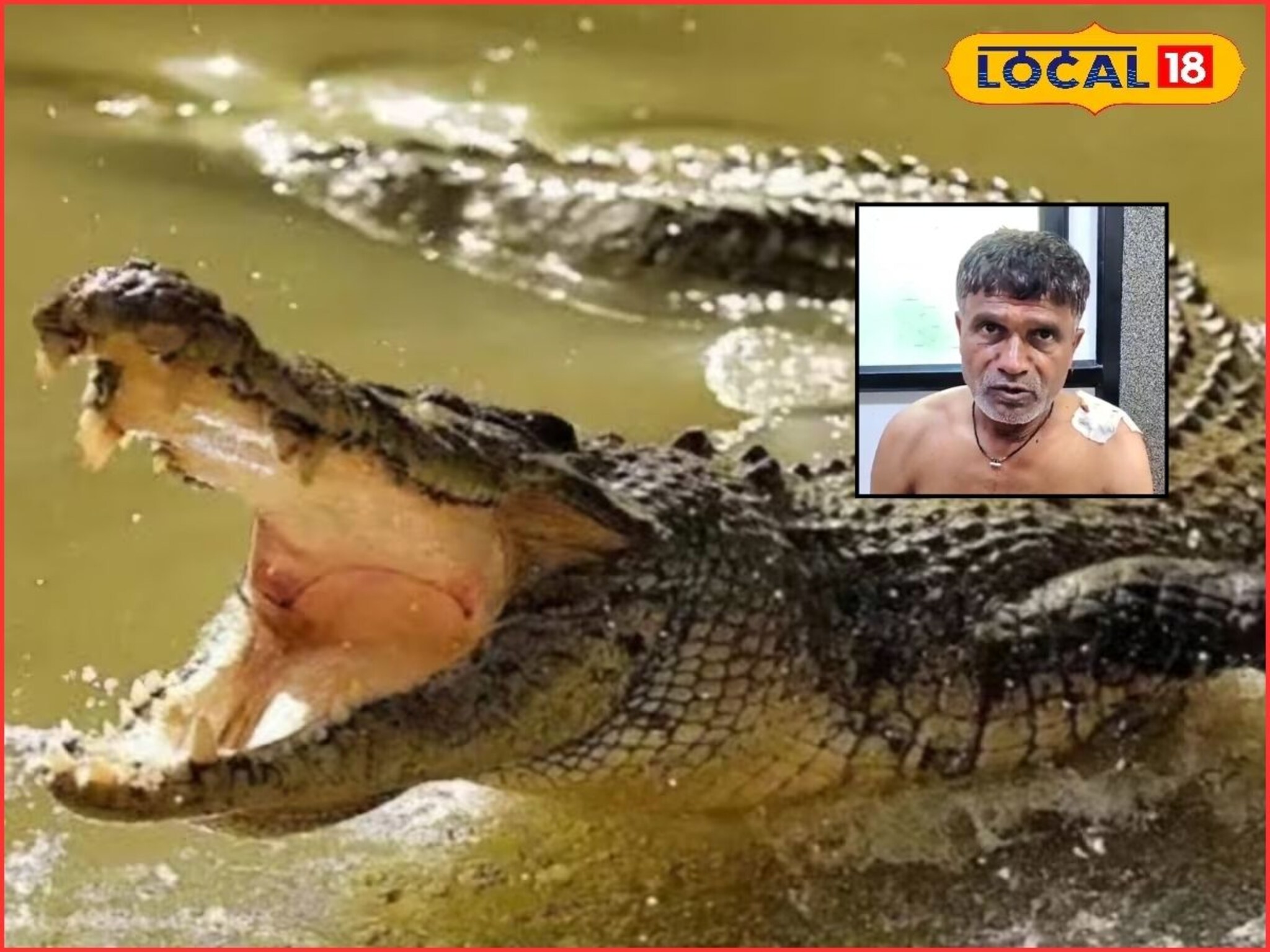 Sangli: काळ आला होता, पण..., कृष्णा नदीत मगरीचा हल्ला, डोकंच पकडलं, सुटकेचा थरार