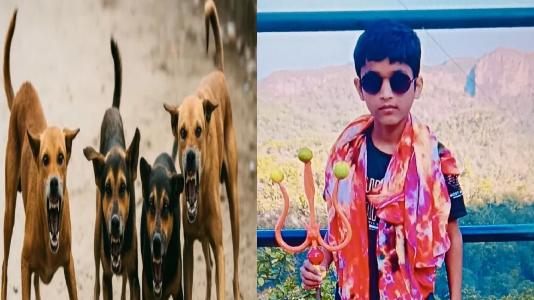 कुत्रे मागे लागली, जयेश 6 व्या मजल्यावर पोहोचला; खिडकीवर चढला आणि...