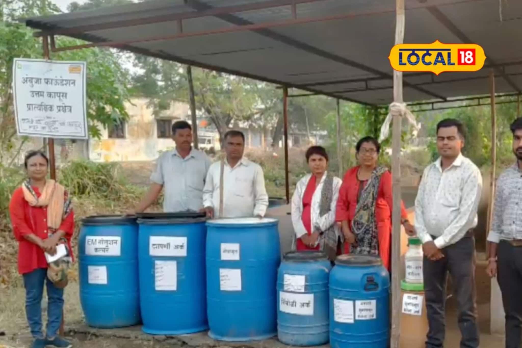 Women Success Story: नोकरी सोडली, शेतात केले नवनवीन प्रयोग, आता महिलेची लाखात कमाई