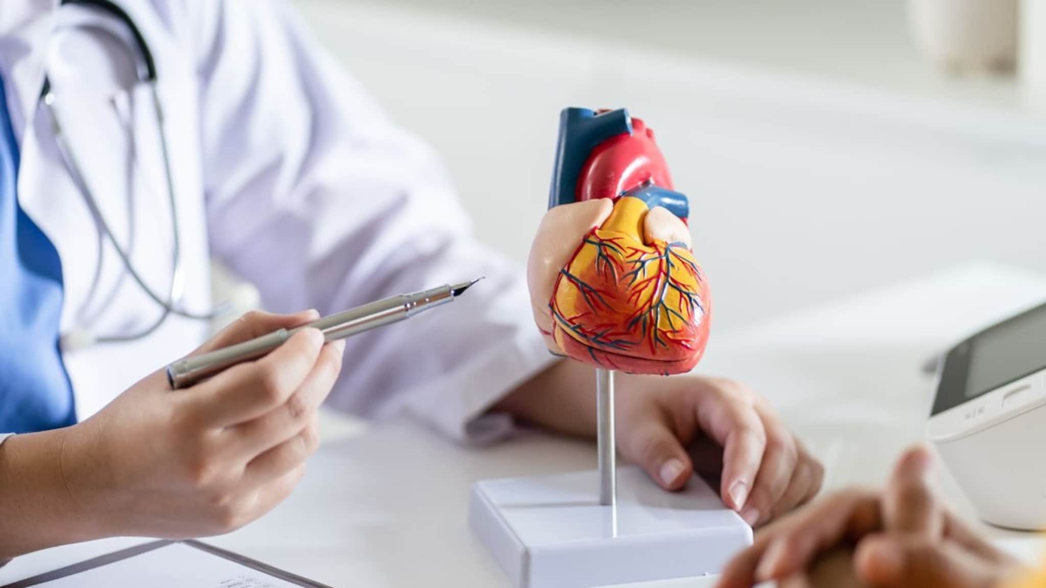 Heart Health : हृदयाच्या आरोग्यासाठी पाच टिप्स, हृदयाला देतील संजीवनी