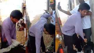 inter religion couple attacked by mob video viral Chhatrapati sambhaji nagar