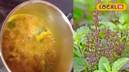 Turmeric basil decoction Turmeric basil decoction