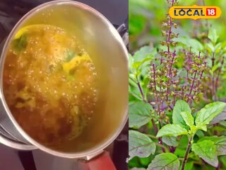 Turmeric basil decoction