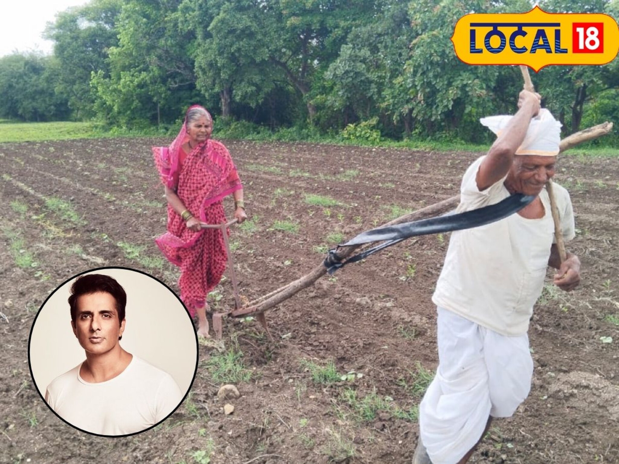 बैल नसल्यानं शेतकरी आजी-आजोबांनी स्वत:ला जुंपलं, अभिनेता सोनं सूदकडून मदतीचा हात