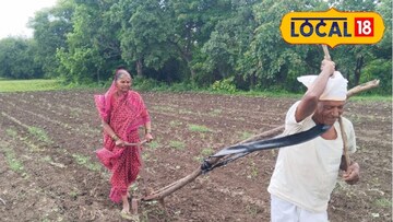शेतीच्या