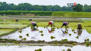 maharashtra weather update maharashtra weather update