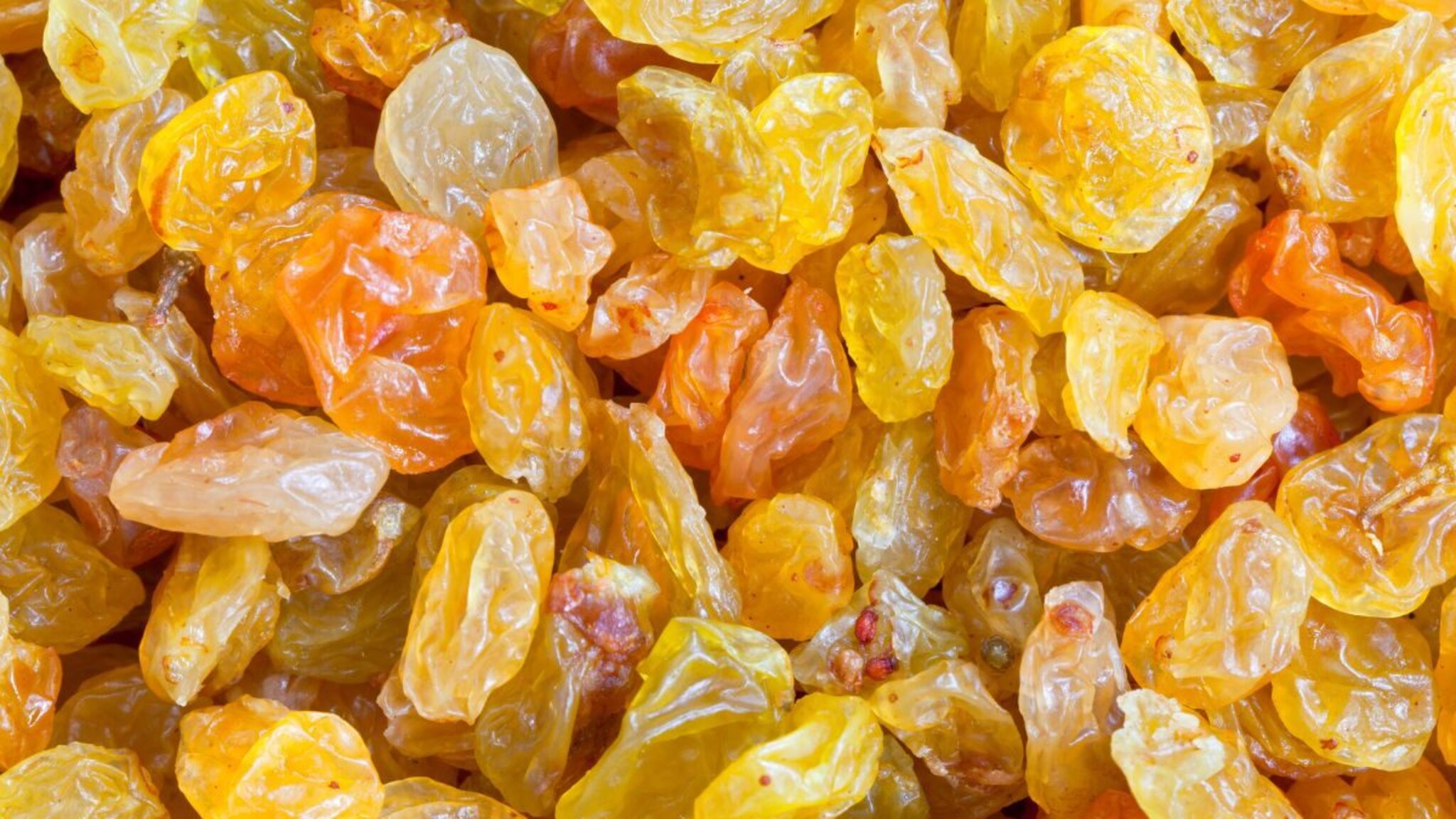 Kishmish vs Manuka : मनुका आणि किशमिशला तुम्ही ही एकच समजता का? जाणून घ्या नेमका फरक