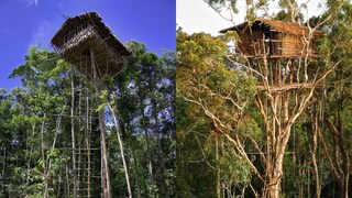 Korowai tribe Korowai tribe