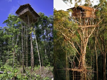 Korowai tribe Korowai tribe