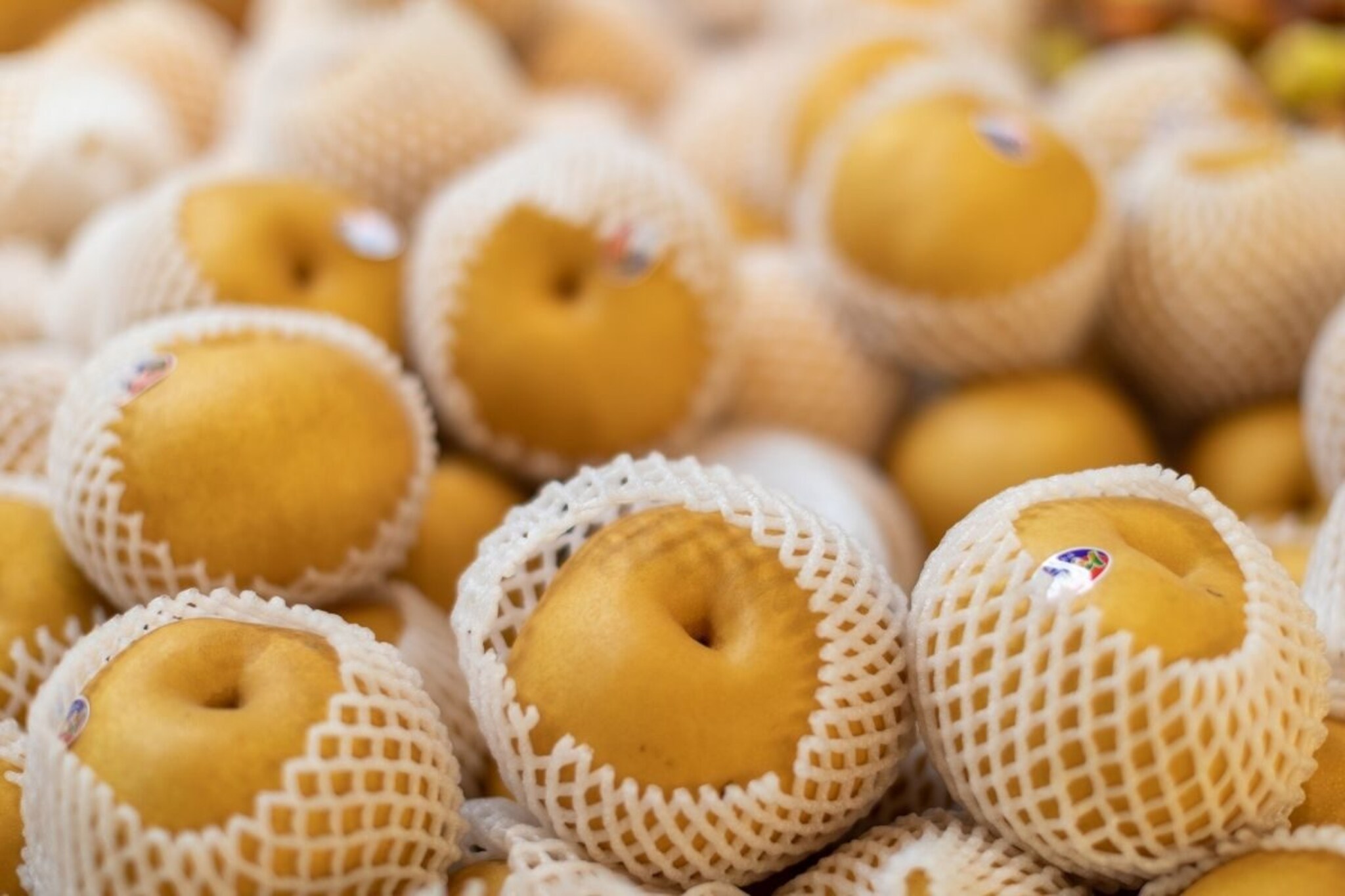 पावसाळ्यात मिळणारं हे फळ म्हणजे 'अमृत', डायबेटिज रोखण्यात प्रभावी