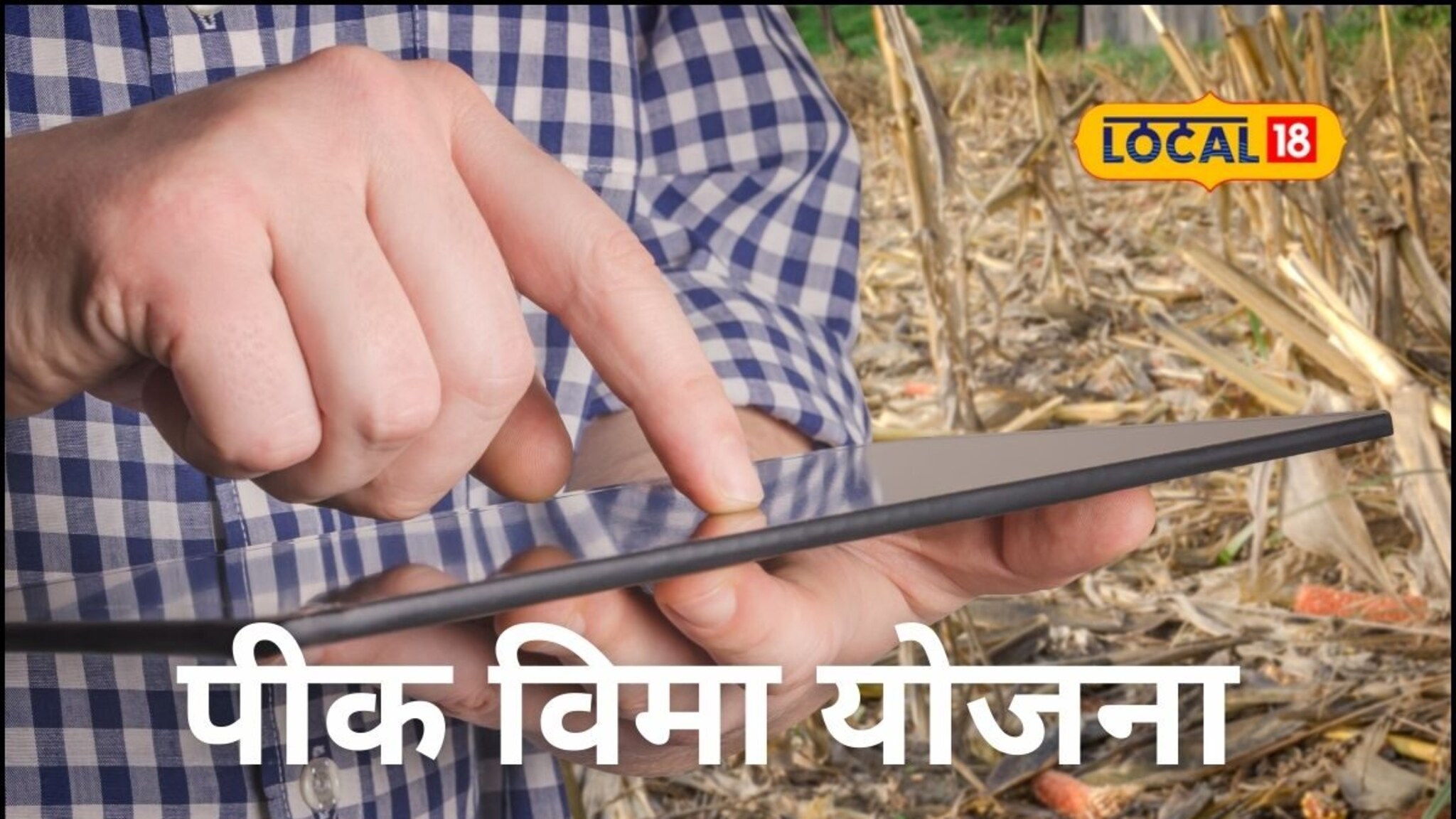 पीक विमा भरण्यासाठी उरले शेवटचे काही तास, लगेच करा अर्ज, हे निकष माहिती हवेच!