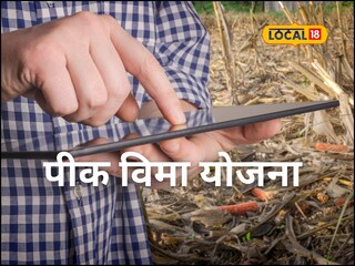 Pik Vima 2025: पीक विमा भरण्यासाठी उरले शेवटचे काही तास, लगेच करा अर्ज, हे निकष माहिती हवेच!