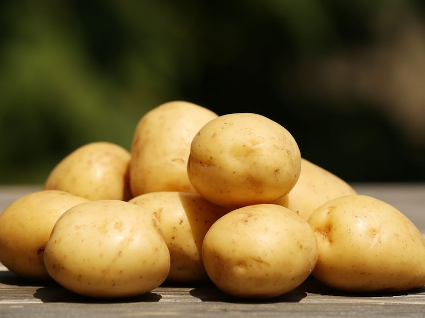 थंड झाल्यावर बटाट्याचा स्टार्च लवकर साखरेत रूपांतरित होतो, ज्यामुळे शिजवल्यावर तो गोड लागतो. त्याची चव आणि पोत दोन्ही बदलतात. त्यामुळे तो किचनमधील पेंट्री किंवा बास्केटसारख्या गडद पण थंड ठिकाणी ठेवा.