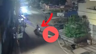 व्हायरल व्हिडीओ