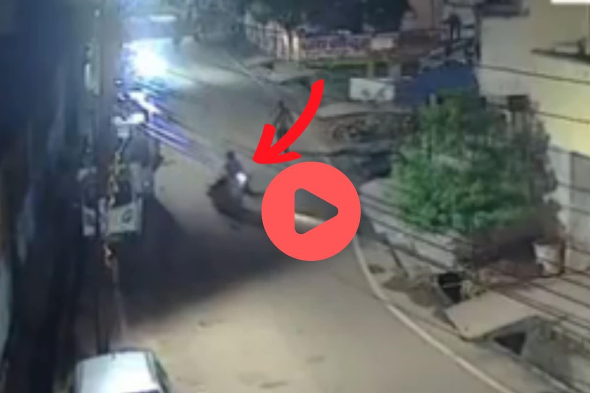 Accident: तो कुत्र्याला वाचवायला गेला आणि गमावला स्वत:चा जीव, घटना CCTVमध्ये कैद