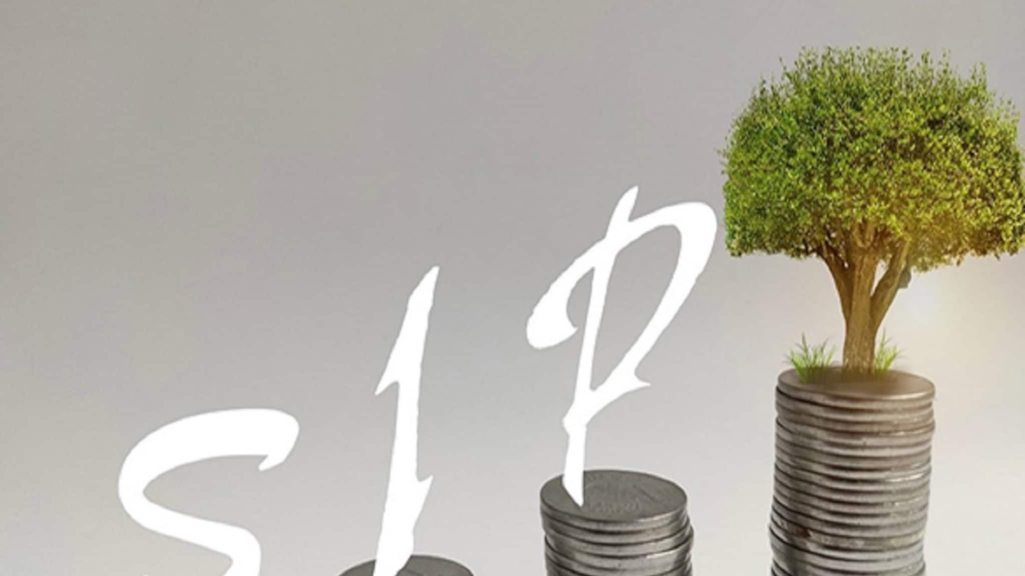 ₹10,000 ची SIP खरंच मालामाल करते का? एक्सपर्ट काय म्हणतात एकदा पाहाच