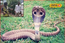 दोघांनी मिळून दिलं हजारो सापांना जीवनदान, पाहा सर्पमित्र भावांची धाडसी गोष्ट