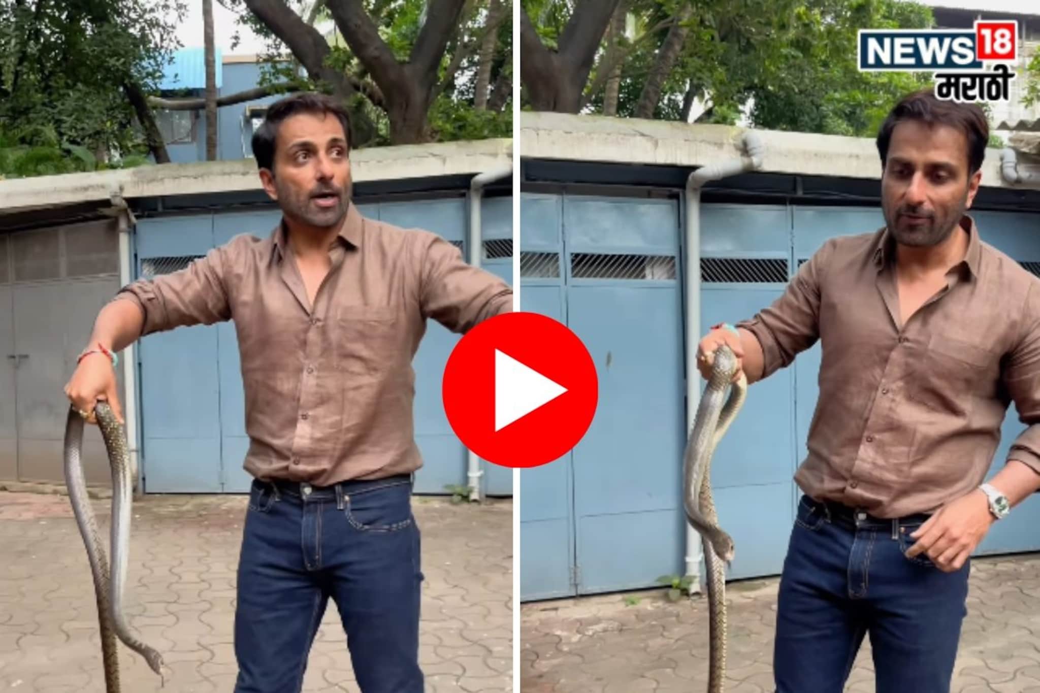 'यालाही घरी सोडून ये...', सोनू सूदने पकडला 4 फूटाचा साप, नेटकऱ्यांनी घेतली फिरकी