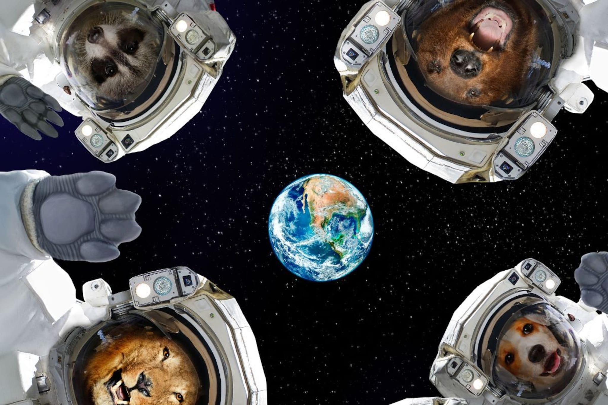 अंतराळात माणसाआधी गेलेले प्राणी कोणते? काहींच्या कथा आजही अंगावर शहारे आणतात