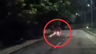 व्हायरल व्हिडीओ व्हायरल व्हिडीओ