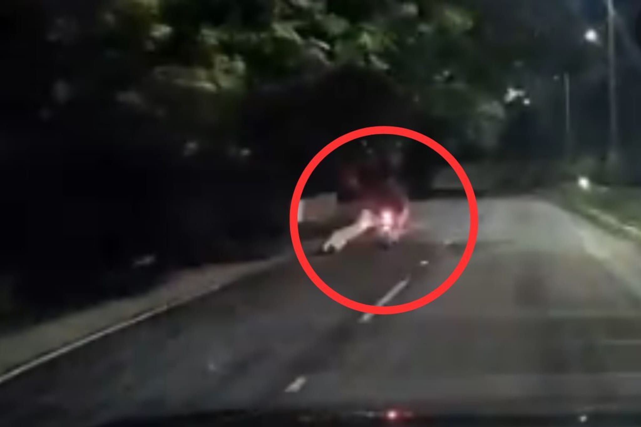 बाईकस्वारांवर बिबट्याचा हल्ला, काही इंचानं वाचला जीव, Video श्वास रोखणारा