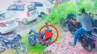 व्हायरल व्हिडीओ