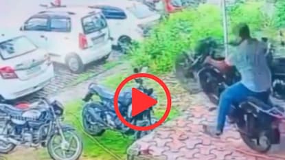 व्हायरल व्हिडीओ व्हायरल व्हिडीओ