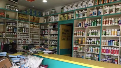 Sangali News Sangali News